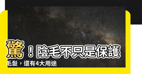 陰毛有什麼作用|陰毛為何是捲的？4大功能曝光 該不該剃醫師解答